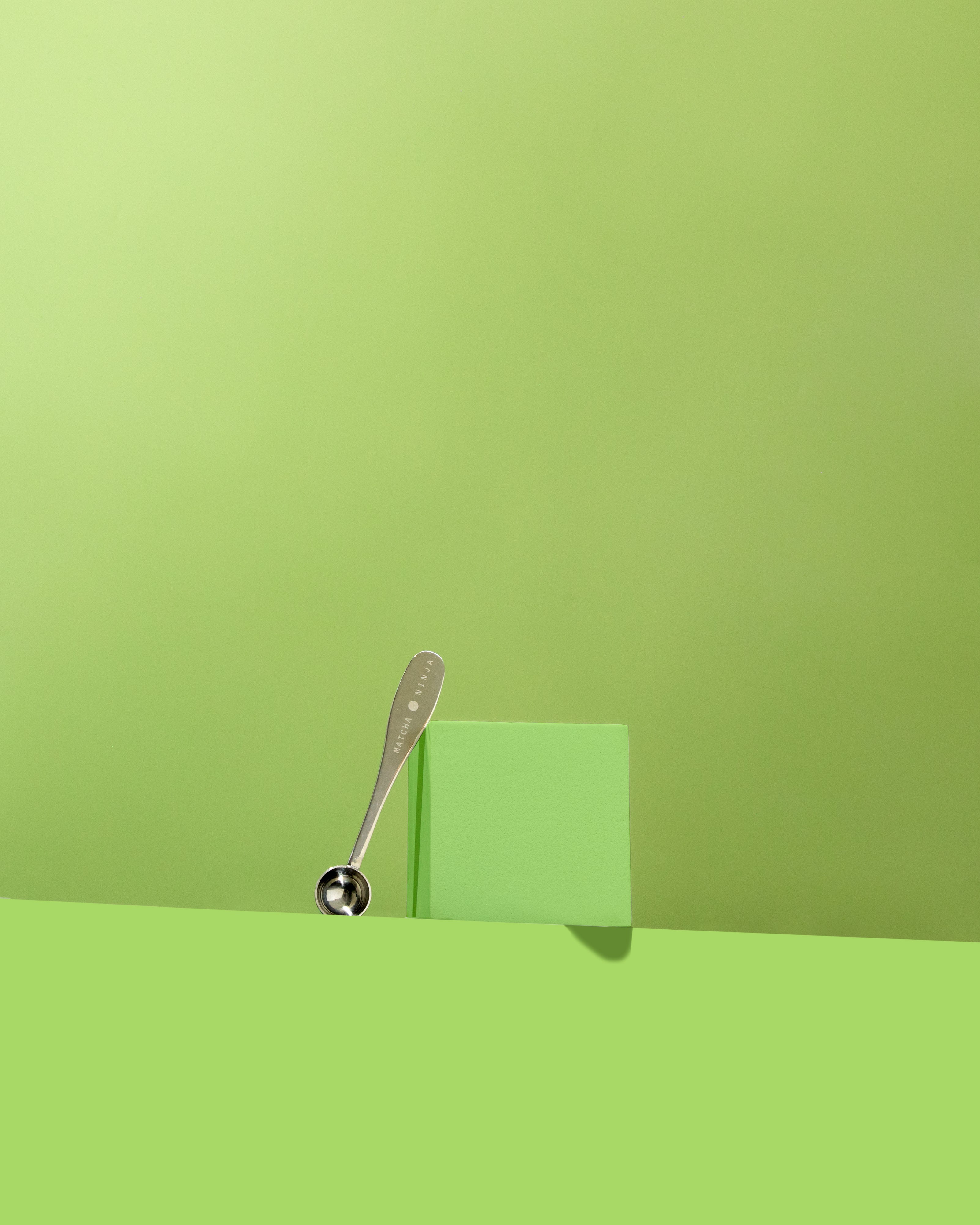 Matcha Ninja 2g Stainless Steel Serving Spoon
