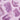 UBE POWDER - 70 SERVING POUCH